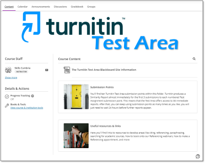 Turnitin Test Area